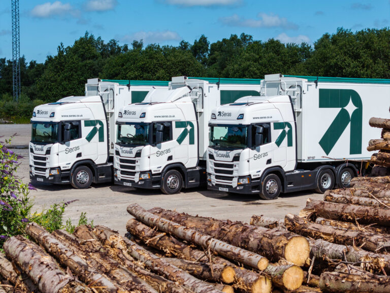 Seras truck with wood pile